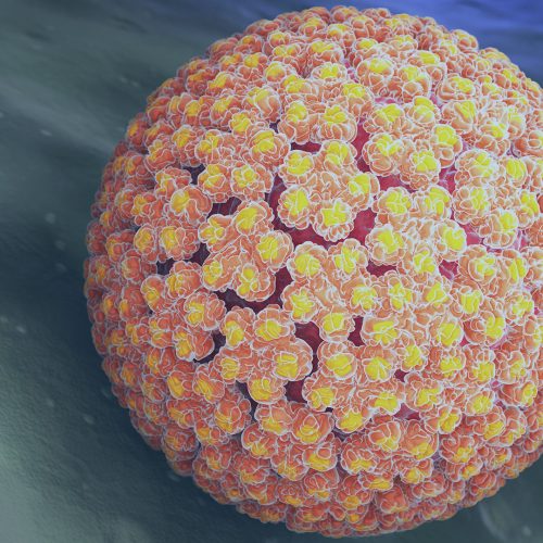 O HPV e o Câncer