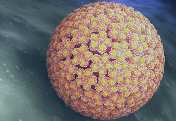 O HPV e o Câncer O HPV e o Câncer
