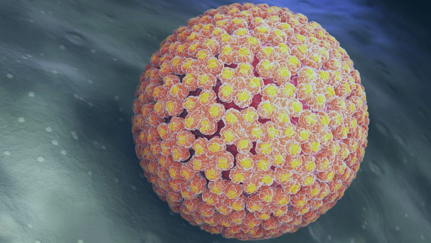 O HPV e o Câncer